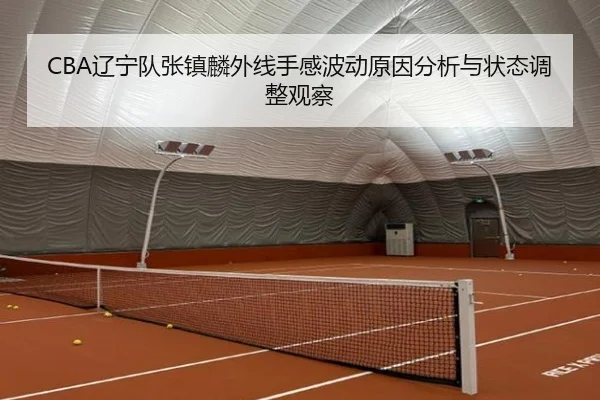 CBA辽宁队张镇麟外线手感波动原因分析与状态调整观察